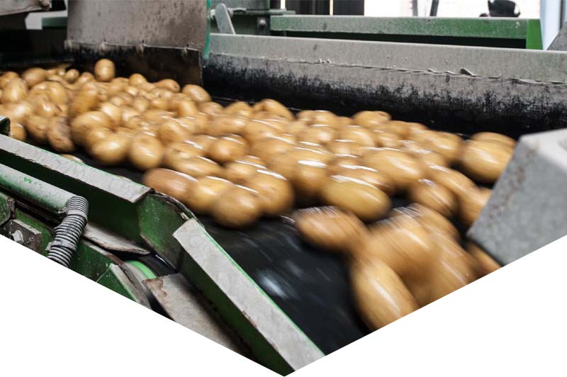 More and more growers attach importance to seed potatoes, which is why a 'tuber counter' was installed in the washing line in 2013. Not only does this show the weight, but also the number of tubers per kg, which indicates how fine or coarse a certain batch is