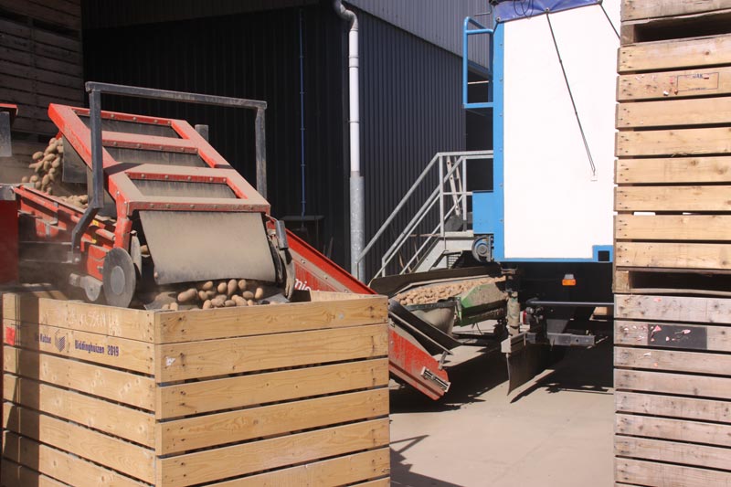 Storage and transhipment of seed potatoes